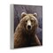 Stupell Industries Surprised Bear Portrait Framed Giclee Wall Art Design by Rod Lawrence
